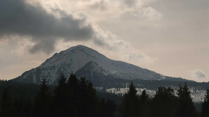 Snežena gora z oblačnim nebom in drevesi v ospredju.