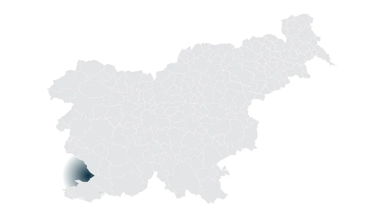 Regijska pisarna OKS-ZŠZ Trst